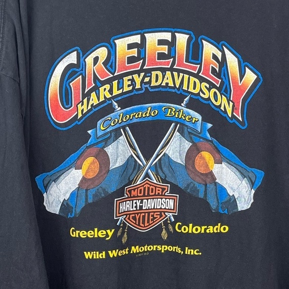 HARLEY-DAVIDSON Men's Pin Up Graphic Tee Sz 3XL Long Sleeve Beefy  Spellout - Picture 4 of 14